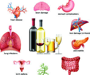 How Does Alcohol Affect the Body?