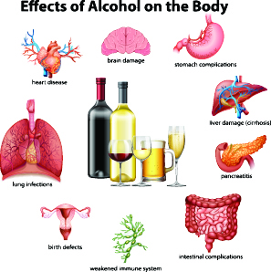 How Does Alcohol Affect the Body?